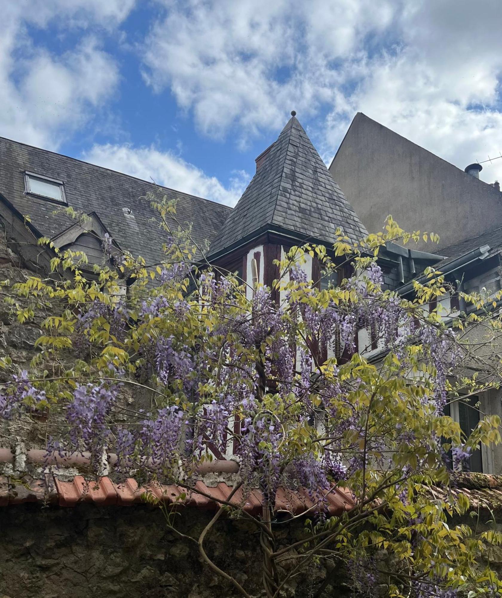 Chatel Rose - Historical Centre With Garden Blois Exteriör bild